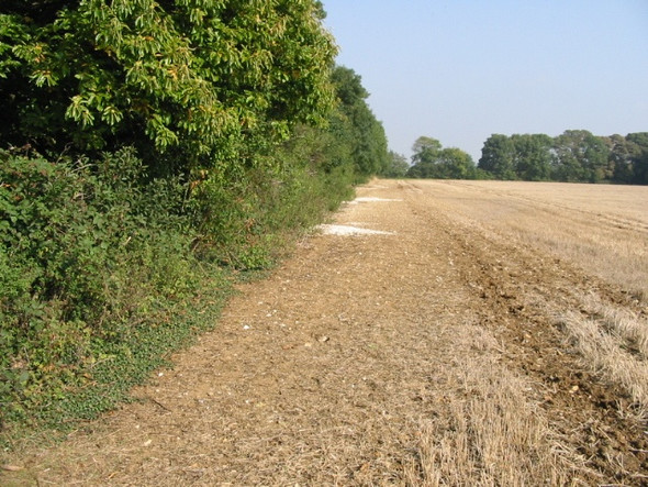 Photo 6"x4" Field boundary from footpath Eythorne c2008