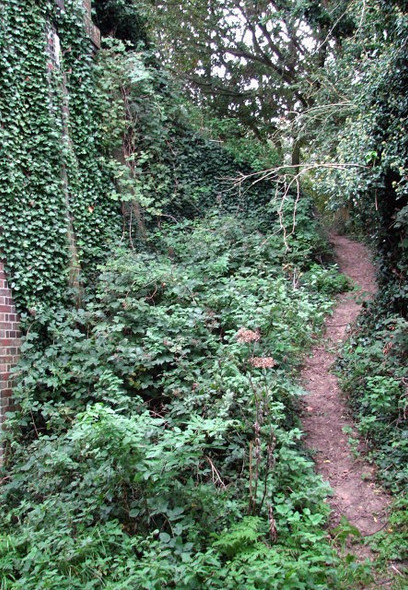 Photo 6"x4" Accessing the Weavers Way Hyltons Crossways c2008