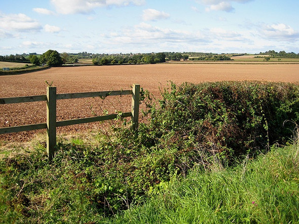 Photo 6"x4" View towards Apperley Deerhurst c2008