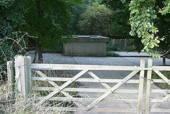 Photo 6"x4" Mystery in the woods Bothampstead c2008