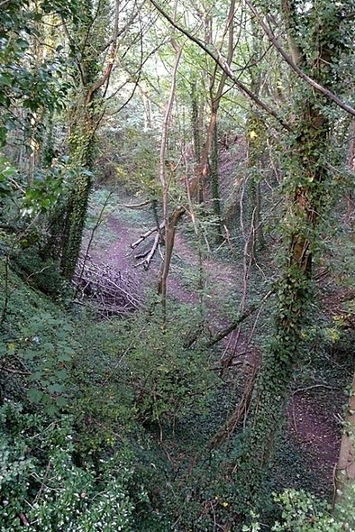 Photo 6"x4" Railway cutting near Four Elms Hermitage\/SU5173 c2008