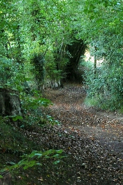 Photo 6"x4" Restricted byway to Stubbles Ashampstead c2008