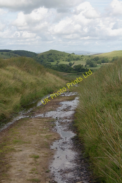 Photo 6"x4" Track leading to Lickhurst Farm Fair Oak\/SD6446 c2007
