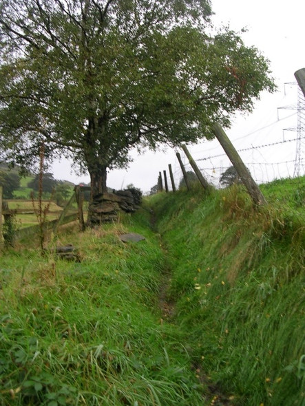 Photo 6"x4" Footpath - Godly Lane, Rishworth Booth Wood c2008