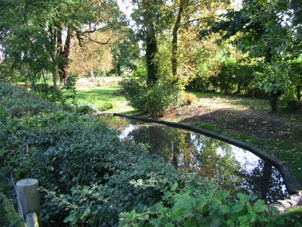 Photo 6"x4" The pond in Nonington Frogham\/TR2550 c2008