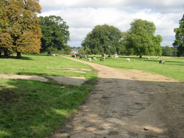 Photo 6"x4" The private road through Fredville Park Frogham\/TR2550 c2008