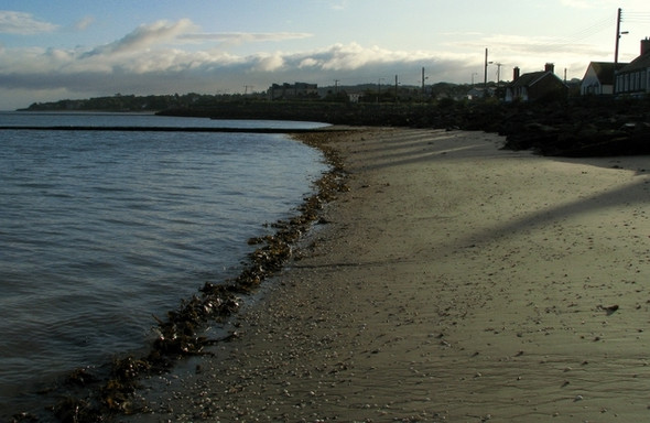 Photo 6"x4" Shoreline at the Kinnegar, Holywood Holywood\/J3979 c2008