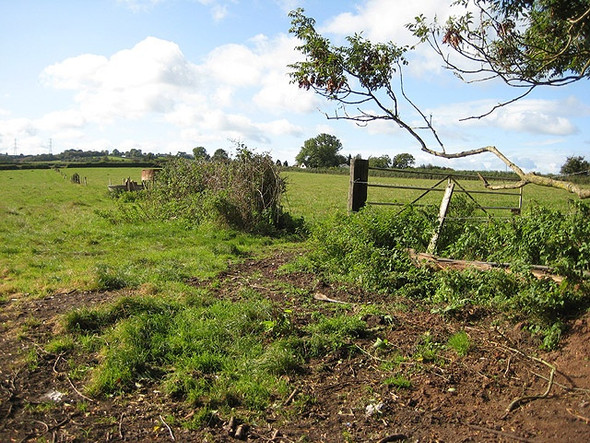 Photo 6"x4" Pastures near Upperfield Farm Penguithal c2008