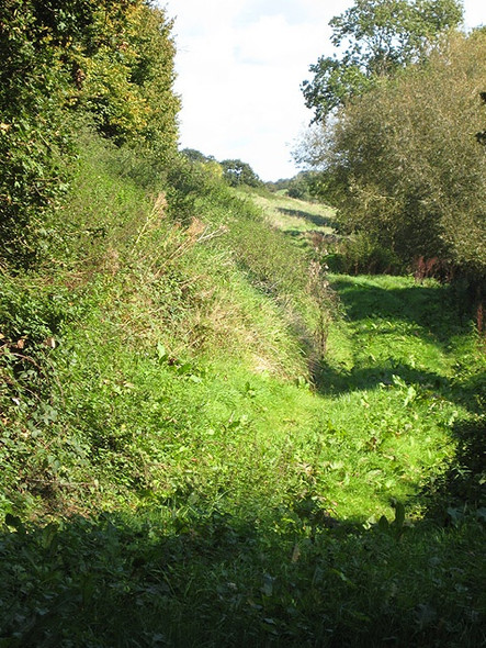 Photo 6"x4" Grassy track along Llanerch Brook Penguithal c2008