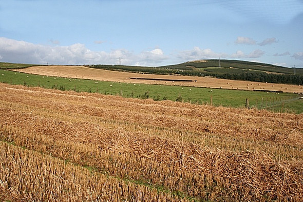 Photo 6"x4" Looking Towards the Hill of Skares Colpy c2008