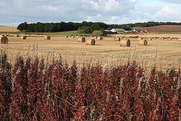 Photo 6"x4" Fields near Auchinhove Fisherford c2008