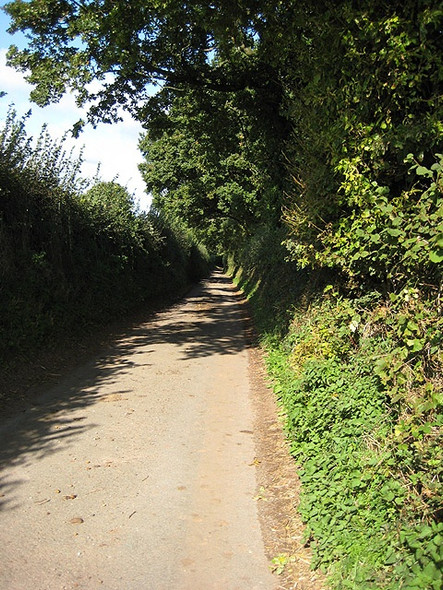 Photo 6"x4" Shady lane Penguithal c2008