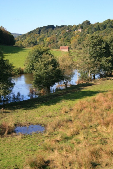 Photo 6"x4" The River Derwent Crich Carr c2008