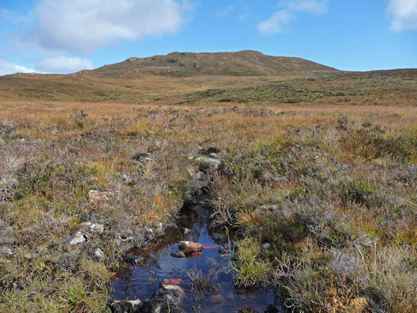 Photo 6"x4" Carn nan Earb Carn nan Earb c2008