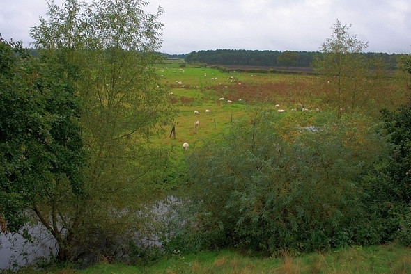Photo 6"x4" View Across The Whitewater Flood Plain New Ollerton c2008