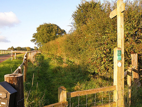 Photo 6"x4" Footpath to Bulls Hill Bull's Hill\/SO5920 c2008