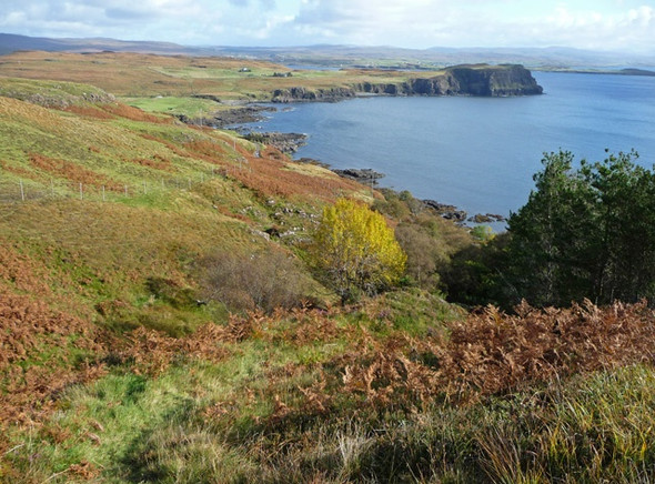 Photo 6"x4" Gleann Bharcasaig Greep c2008