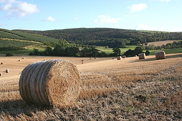 Photo 6"x4" River Deveron from Woodfold Bogniebrae c2008