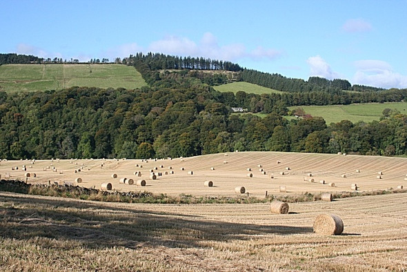 Photo 6"x4" Near Turtory Marnoch c2008