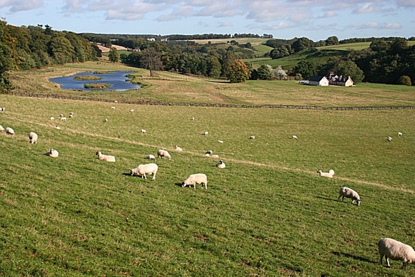 Photo 6"x4" Waterside Lodge Bogton\/NJ6751 c2008