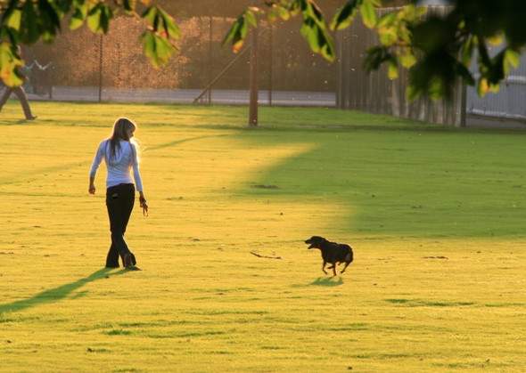 Photo 6"x4" Dog walking in West Park Long Eaton c2008