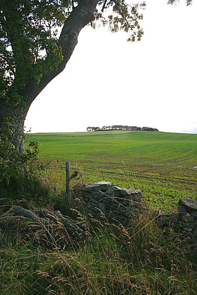 Photo 6"x4" Hill of Laithers Bogton\/NJ6751 c2008