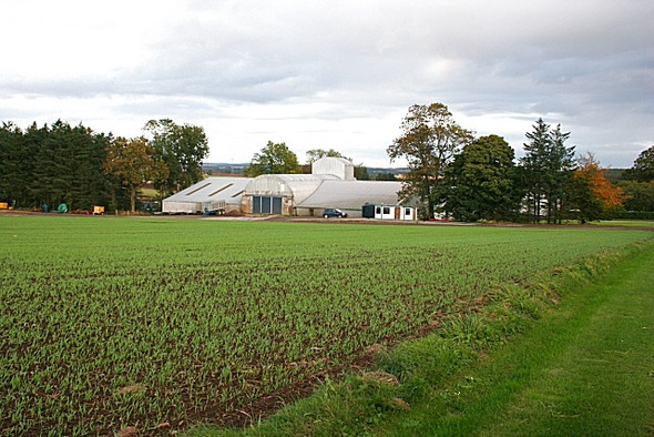 Photo 6"x4" Upper Darley Gordonstown\/NJ7138 c2008