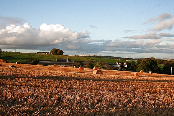 Photo 6"x4" Mid Haddo Fyvie c2008 P1
