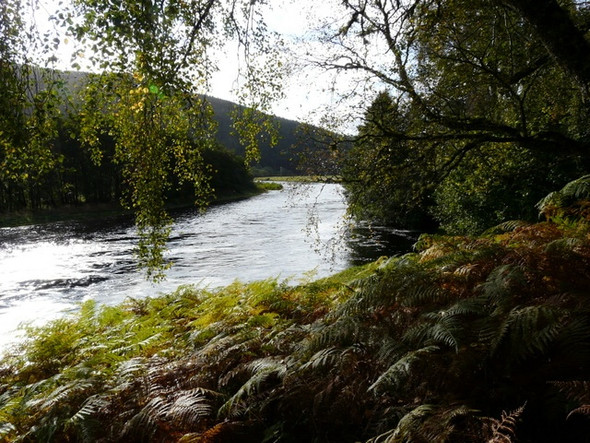 Photo 6"x4" Looking up river on the Glass Corrimony c2008