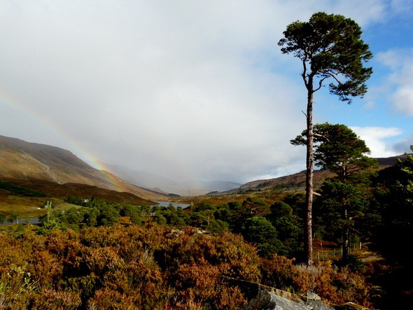 Photo 6"x4" From the Mullardoch dam Loch a' Bh\u00e0na c2008