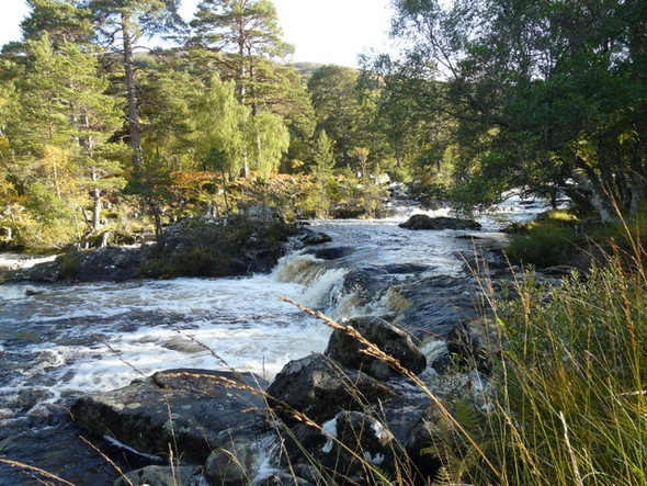 Photo 6"x4" Falls on the River Cannich Muchrachd c2008