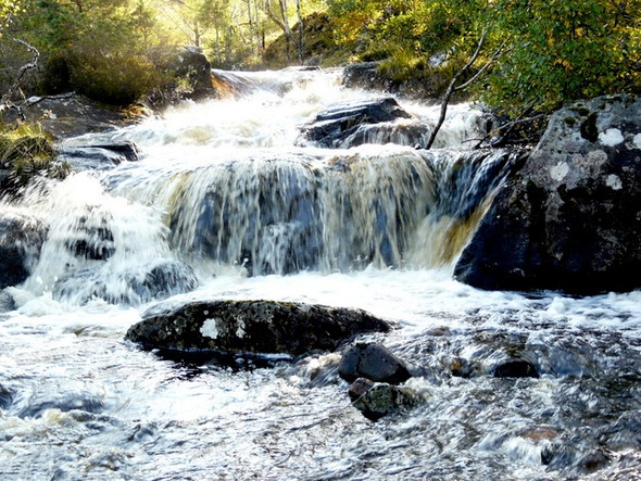 Photo 6"x4" Falls on River Cannich Muchrachd c2008