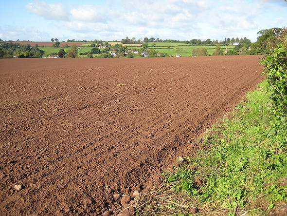 Photo 6"x4" Large arable field SE of Llangarron Llangarron c2008