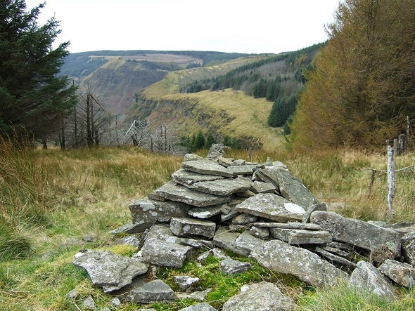 Photo 6"x4" Old Wall at Cwm Lluest, Penpych Woodland Park Blaenrhondda c2008