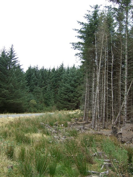Photo 6"x4" Rhondda Community Route, Bryn Llynwyn-ddwr Blaenrhondda c2008
