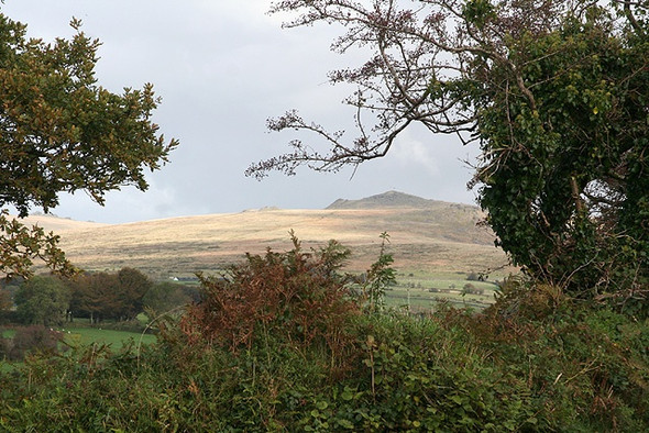 Photo 6"x4" Peter Tavy: towards Nattor Down Horndon c2008