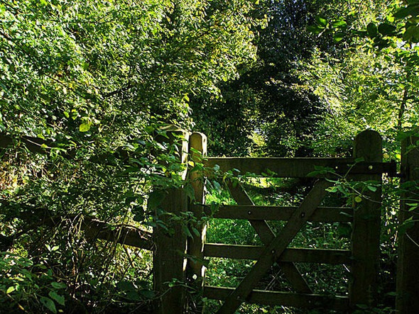 Photo 6"x4" Gate to Hailey Wood Tarlton c2008