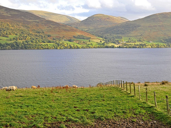 Photo 6"x4" Pasture near Shenlarich Ardtalnaig c2008