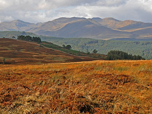 Photo 6"x4" Moorland near the Amulree to Kenmore Road Kenmore\/NN7745 c2008