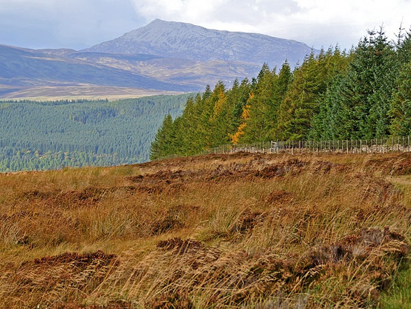 Photo 6"x4" Moorland near the Amulree to Kenmore Road Kenmore\/NN7745 c2008 P1