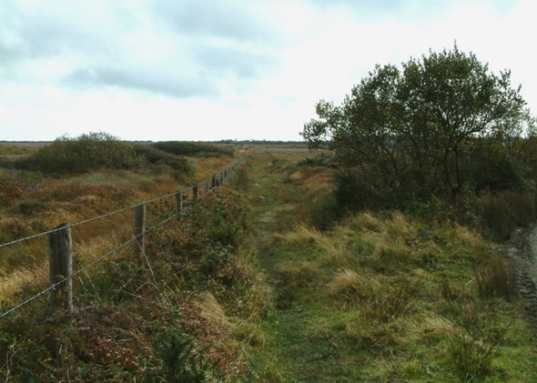 Photo 6"x4" Goonhilly Down Traboe c2008