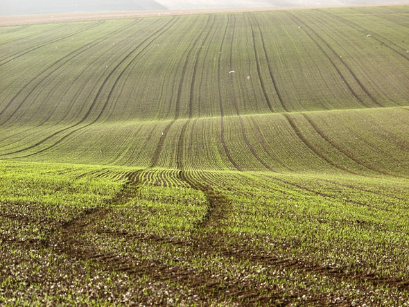 Photo 6"x4" Arras Wold Sancton c2008