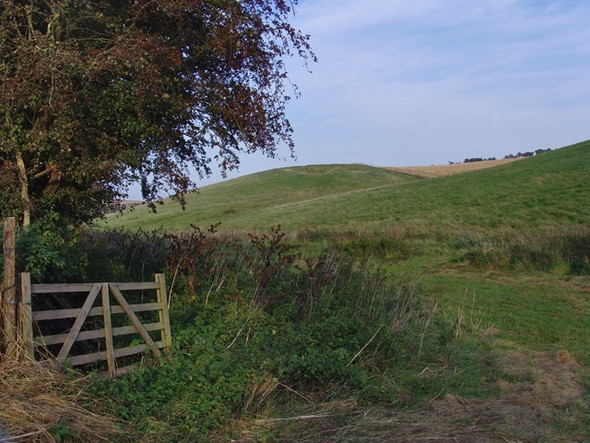 Photo 6"x4" Sancton Wold Sancton c2008