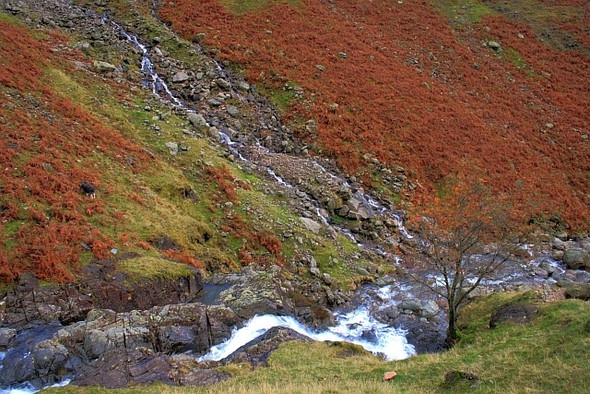 Photo 6"x4" Buscoe Sike Ban c2008