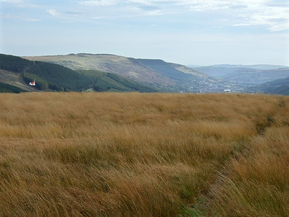 Photo 6"x4" Rough Grassland atop Penpych Treherbert c2008