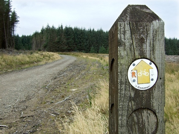 Photo 6"x4" Rhondda Community Route, Bryn-du Blaenrhondda c2008