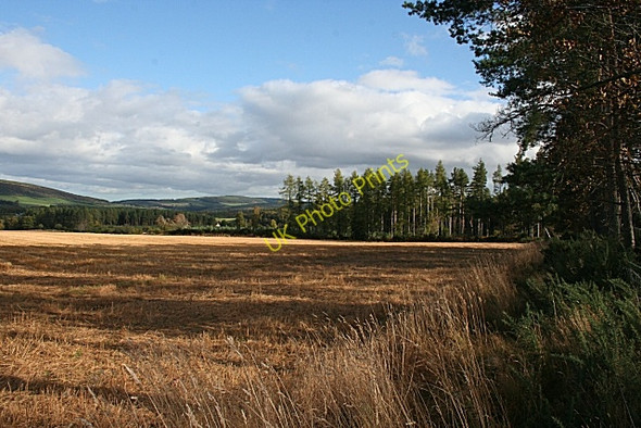 Photo 6"x4" Near Blackhills Woodside\/NJ0555 c2008 P1