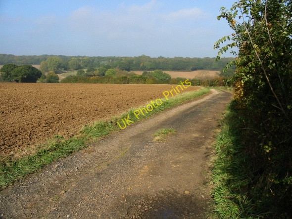 Photo 6"x4" Lane to Brambles Farm Broad Oak\/TR1661 c2008