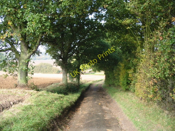 Photo 6"x4" Lane to Brambles Farm Broad Oak\/TR1661 c2008