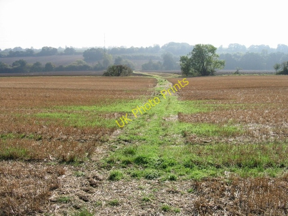 Photo 6"x4" Looking SE along footpath from Mayton Lane Broad Oak\/TR1661 c2008